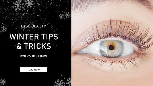 Looking Back at Black Friday