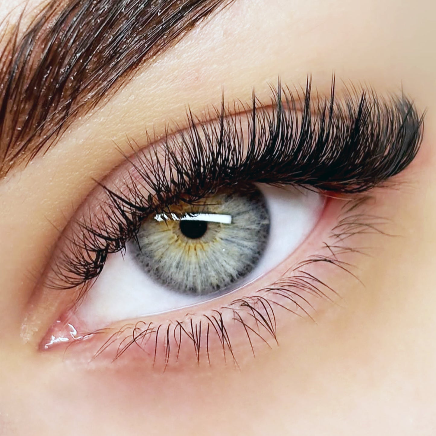 Intermediate Lash Bundle