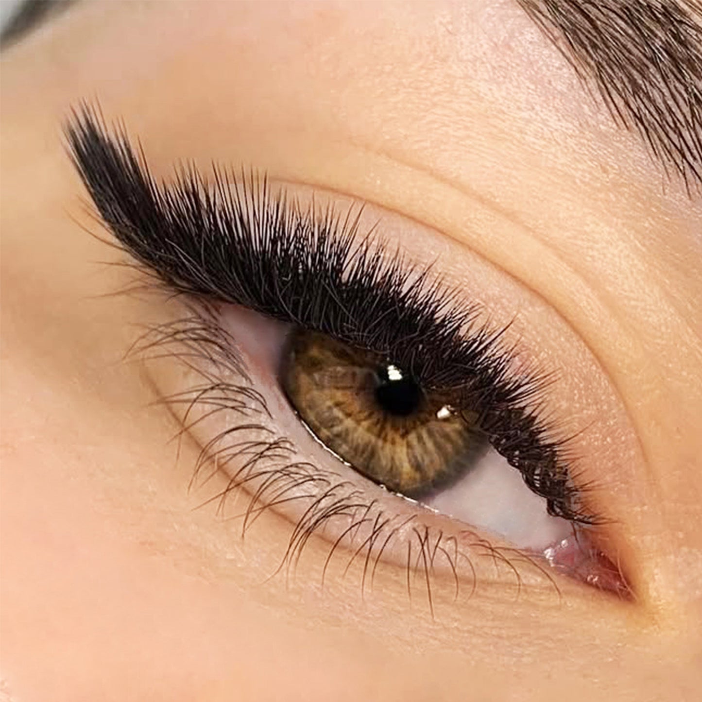 Dlux Random Eyelash