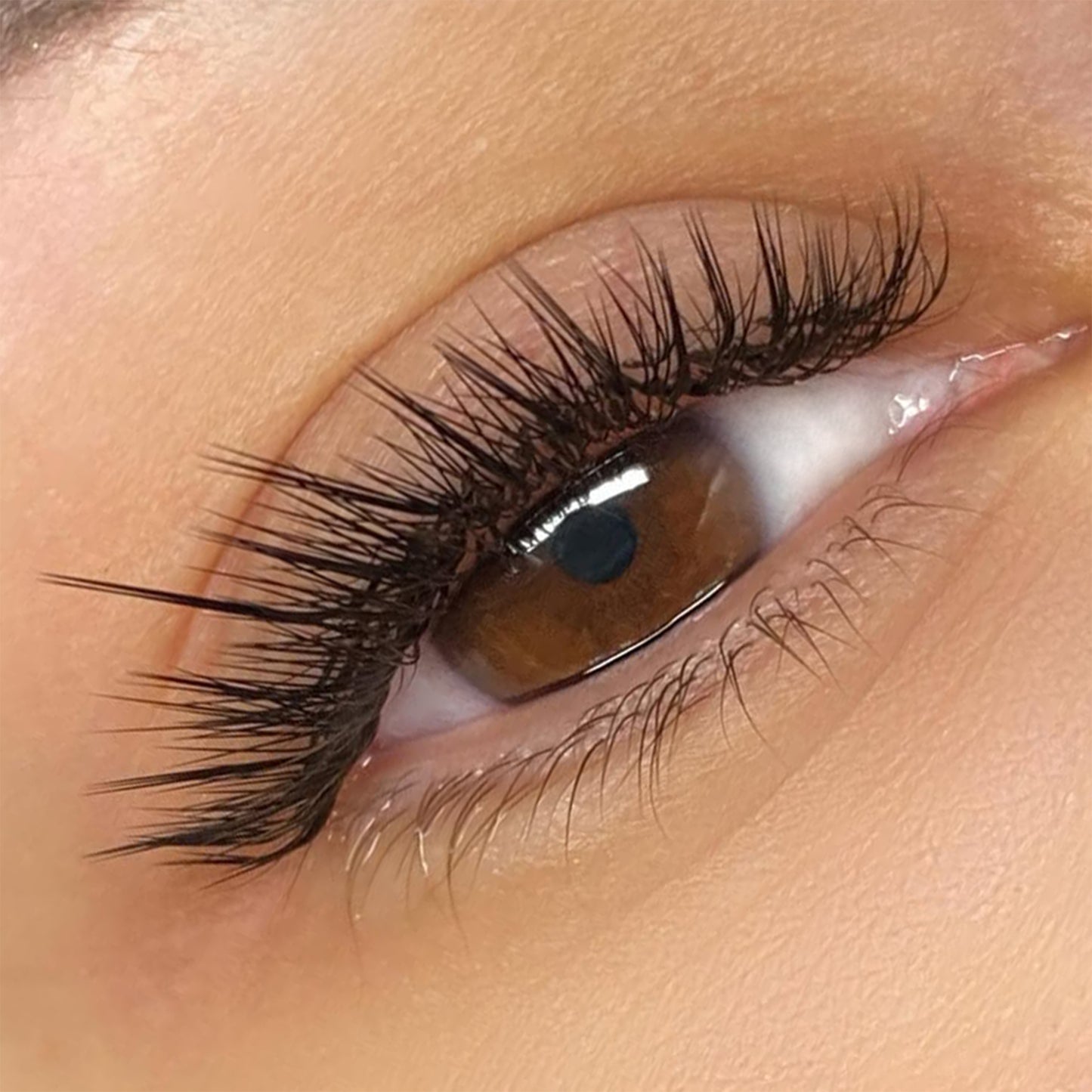Dlux Random Eyelash