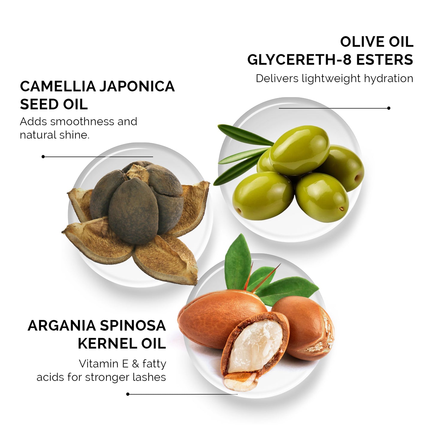 Lash Lift Hydrating Essence