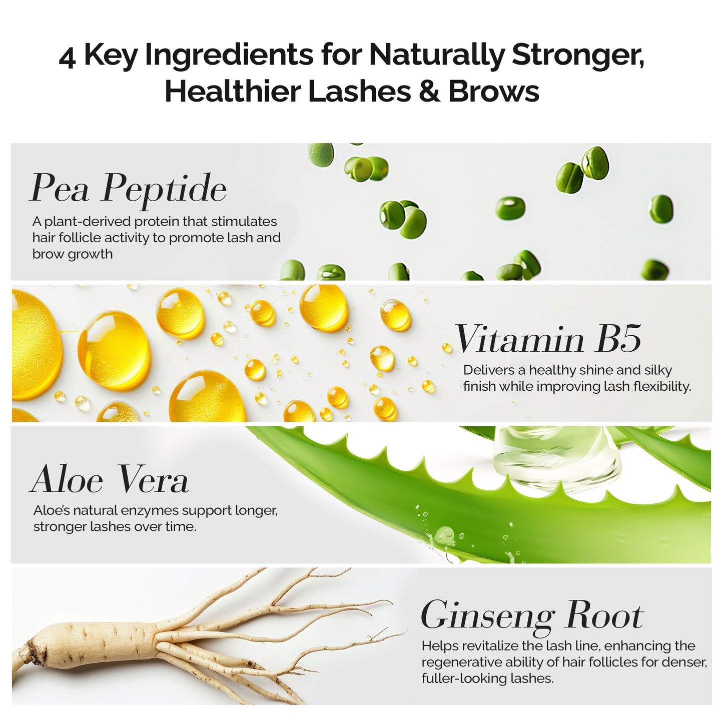 Lash Treatment & Serum (Upgraded Formula)