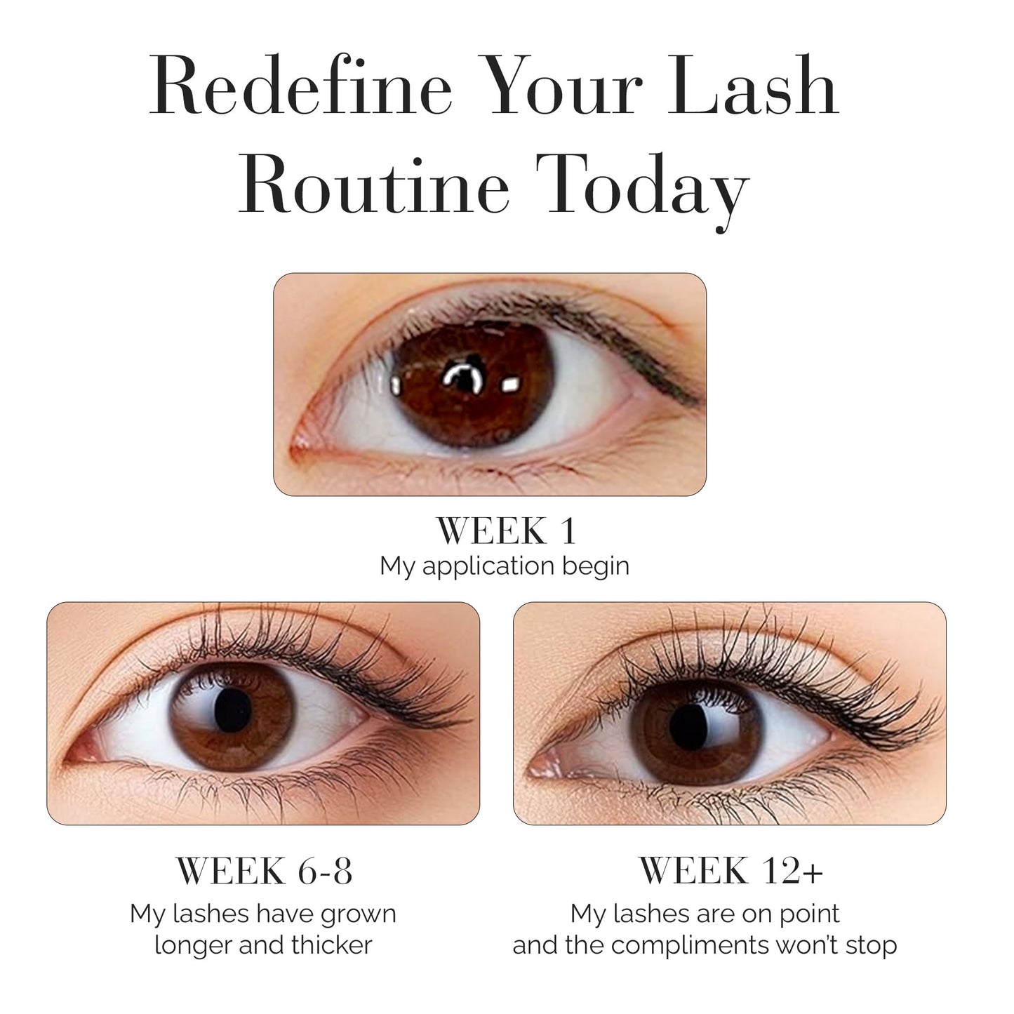 Lash Treatment & Serum (Upgraded Formula)