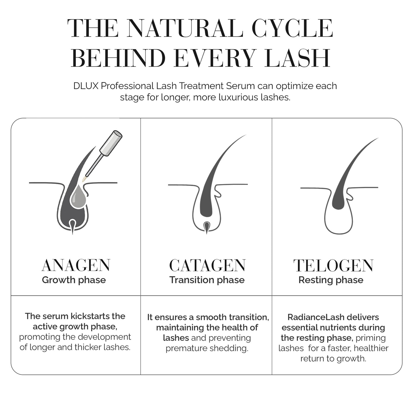 Lash Treatment & Serum (Upgraded Formula)