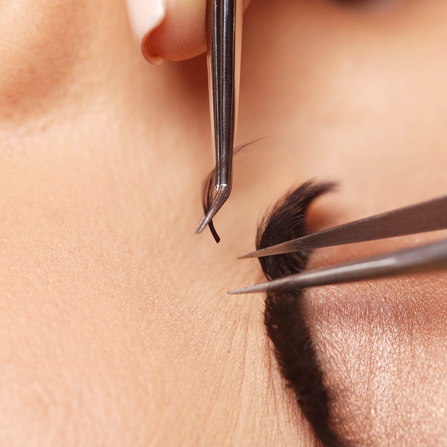 Intermediate Lash Bundle