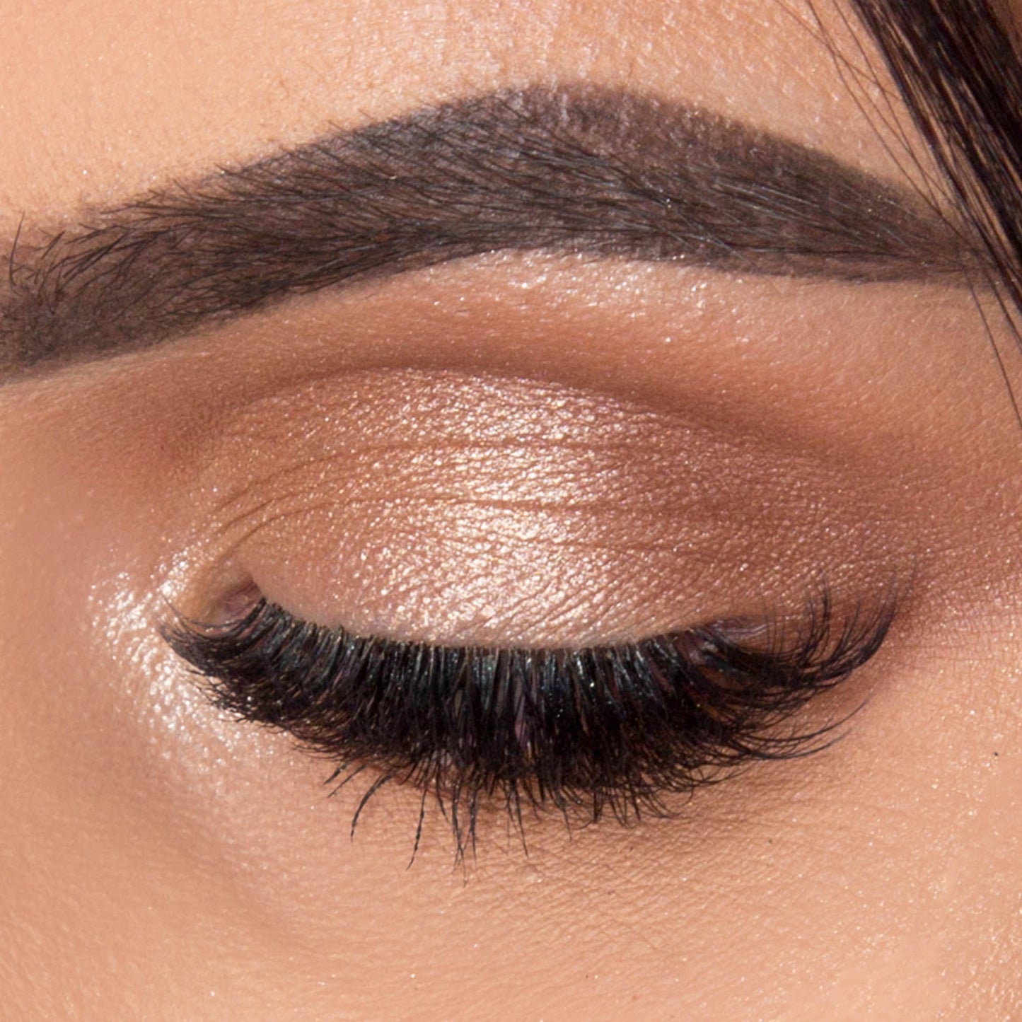 Lash & Brow Coating Mascara