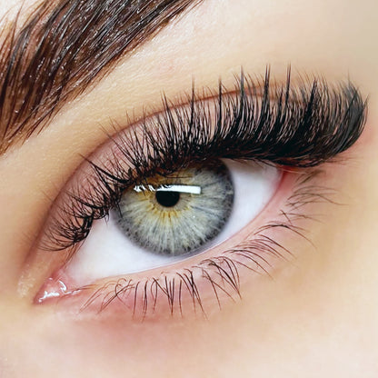 Intermediate Lash Bundle