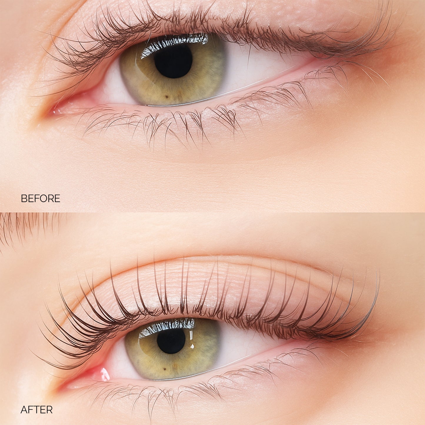 Illumination Silicone Shields Lash Lift