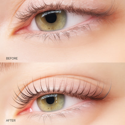 Illumination Silicone Shields Lash Lift