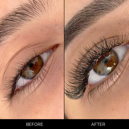 Intermediate Lash Bundle