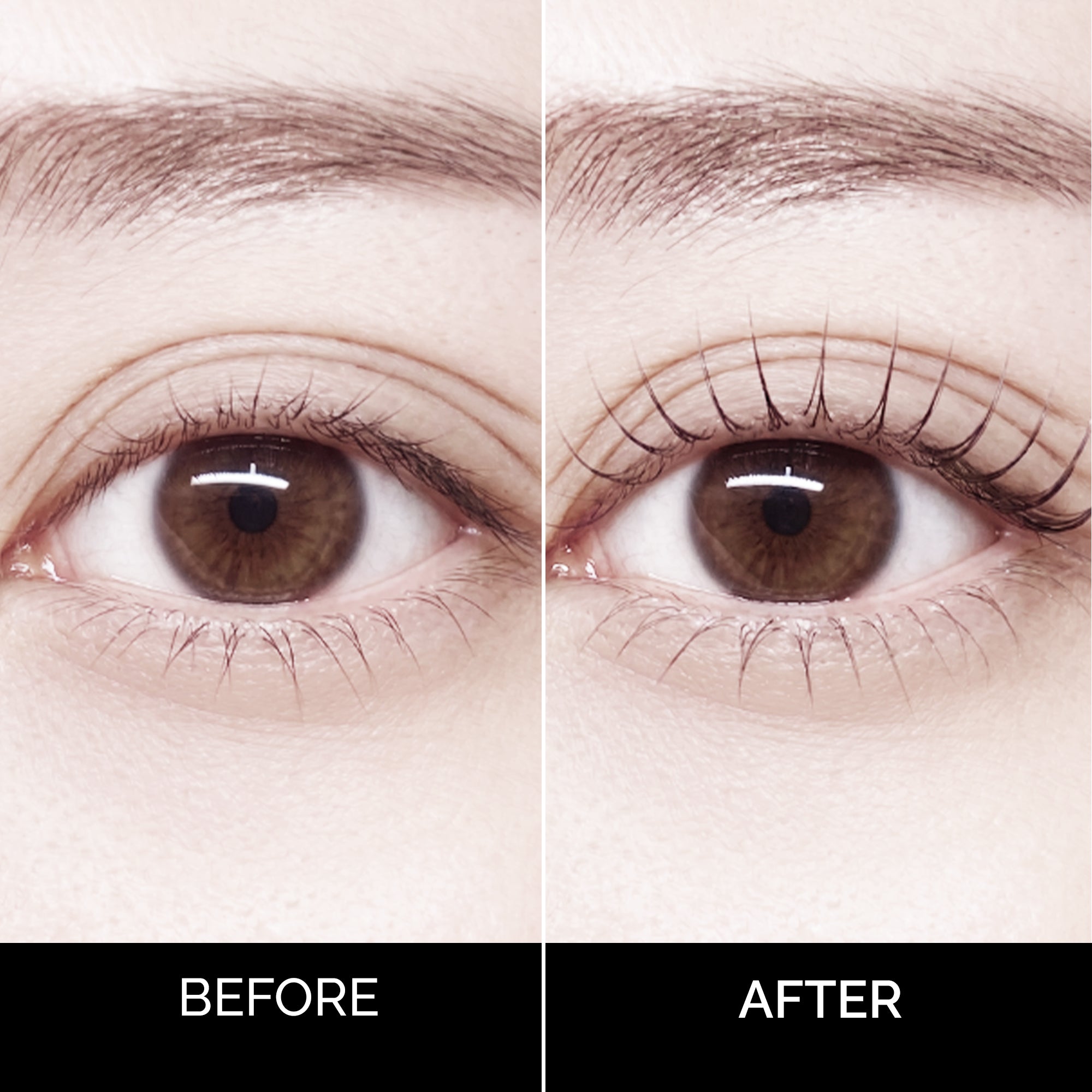 Korean Lash & Brow Kit Cysteamine Based