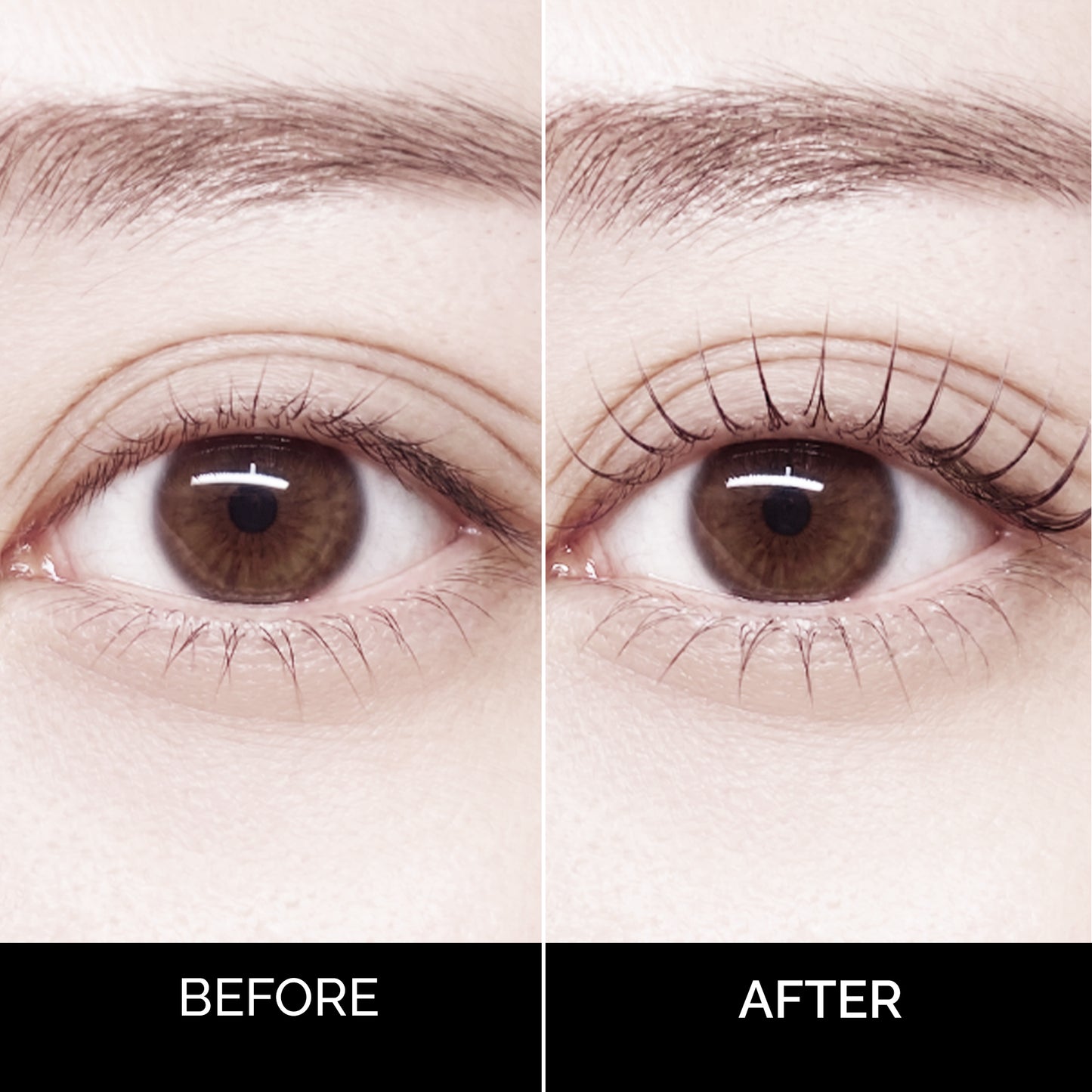 Korean Lash & Brow Kit Cysteamine Based