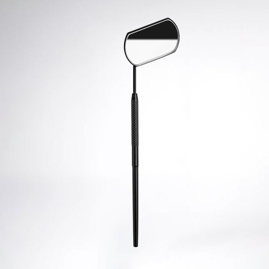 Lash Mirror