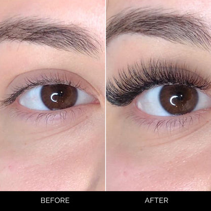 Lash Bombshell | Intermediate kit