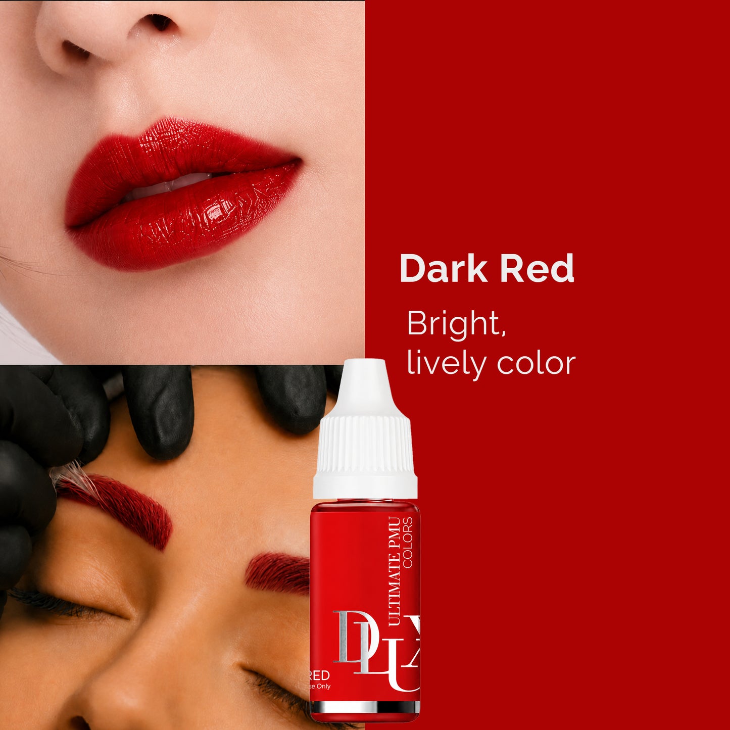 Ultimate PMU Colors (For Lips : Dark Red)