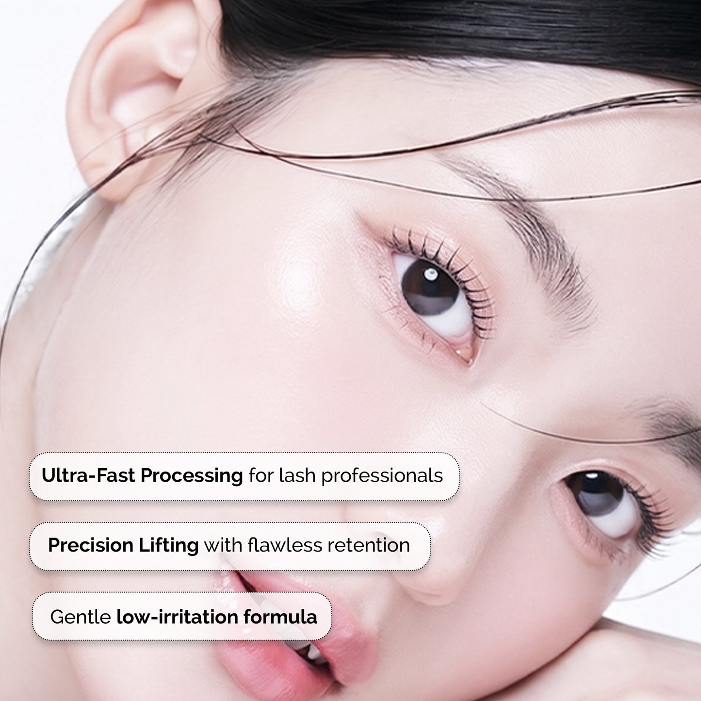 Korean Rapid No. 5 Lash & Brow Kit