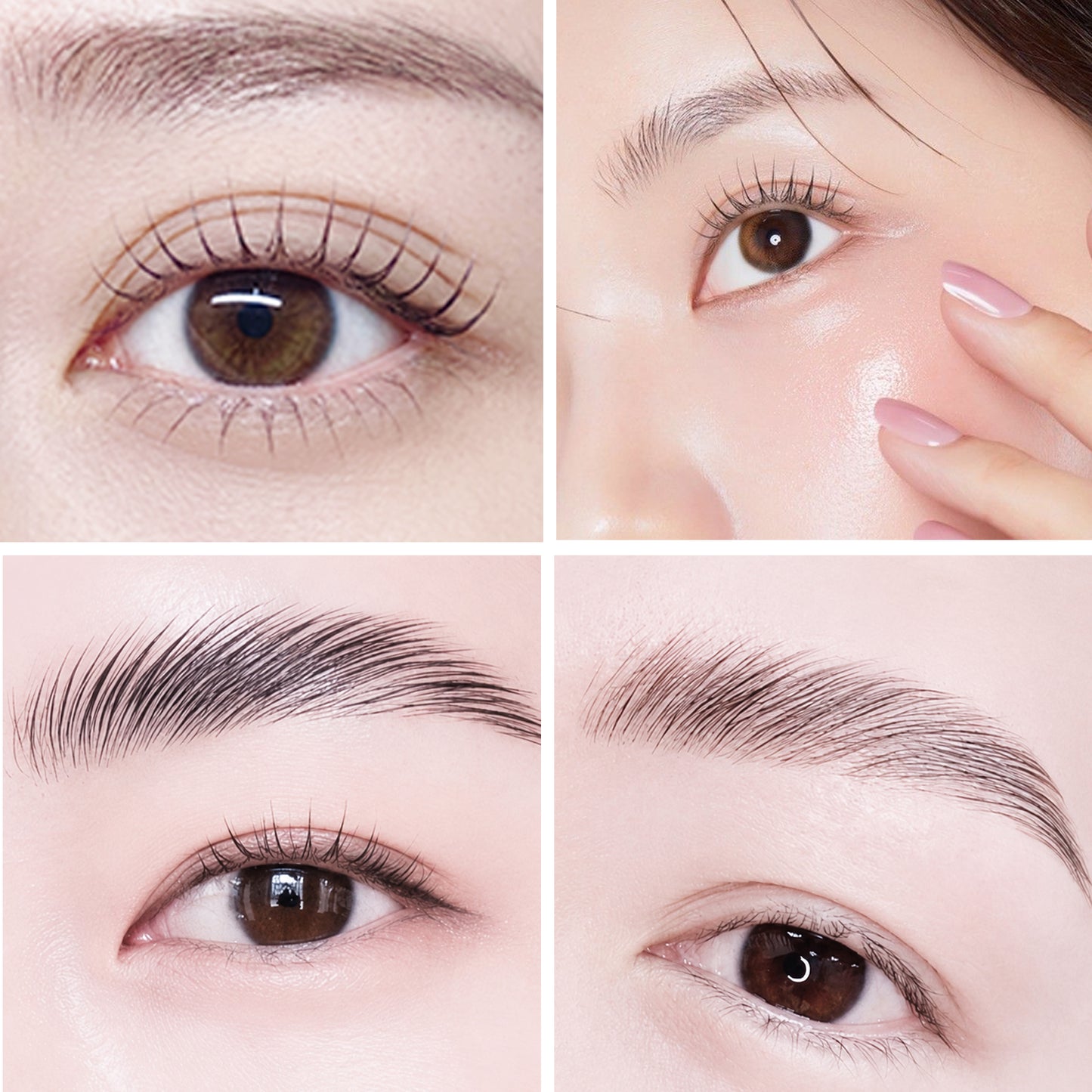 Korean Rapid No. 5 Lash & Brow Kit