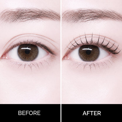 Korean Rapid No. 5 Lash & Brow Kit