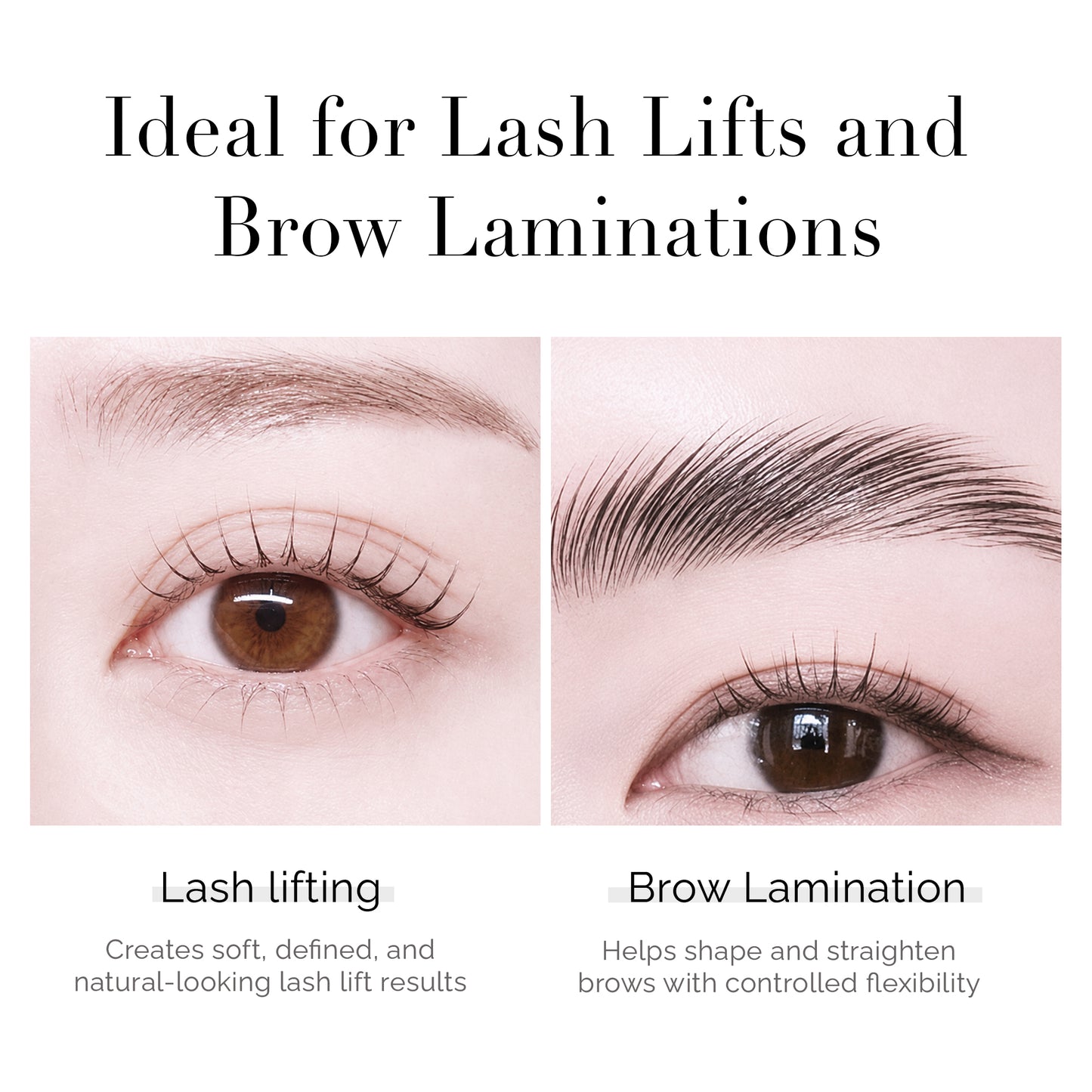 Korean Rapid No. 5 Lash & Brow Kit